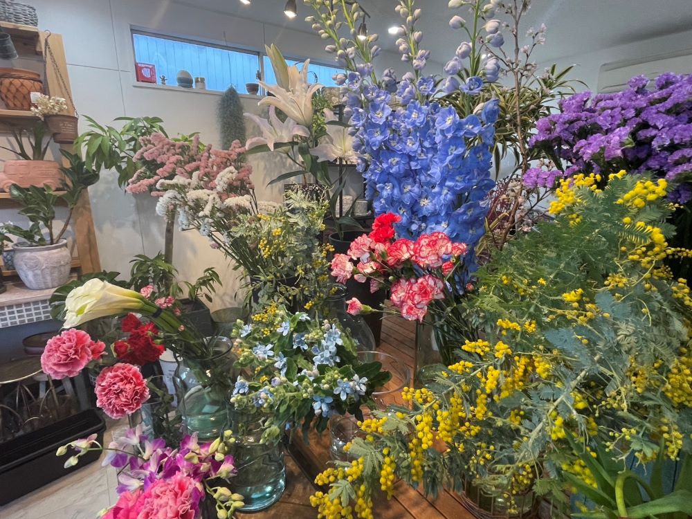 販売している花